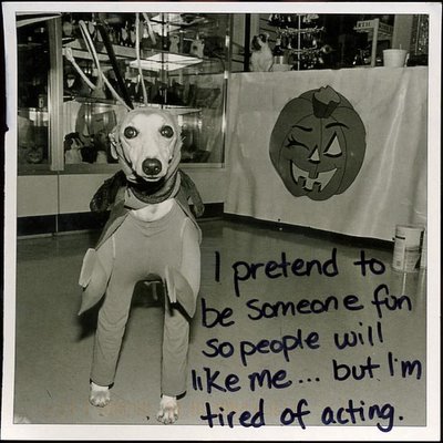 Halloween Dog from PostSecret