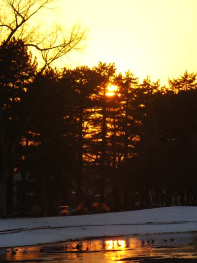 Sunset at Liberty Park by Laura Moncur 01-24-06