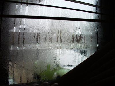 Condensation by Laura Moncur 04-06-06