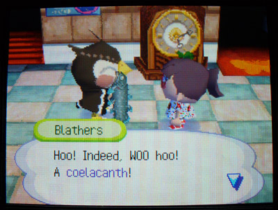 I donated the coelacanth to the museum, of course.