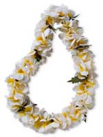 Lei brought to you from Virtual Florist