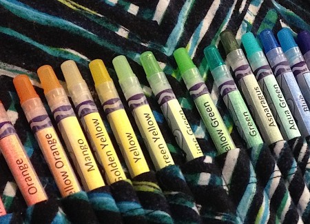 Crayola Twistables Colored Pencils Case