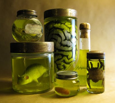 Specimen Jars