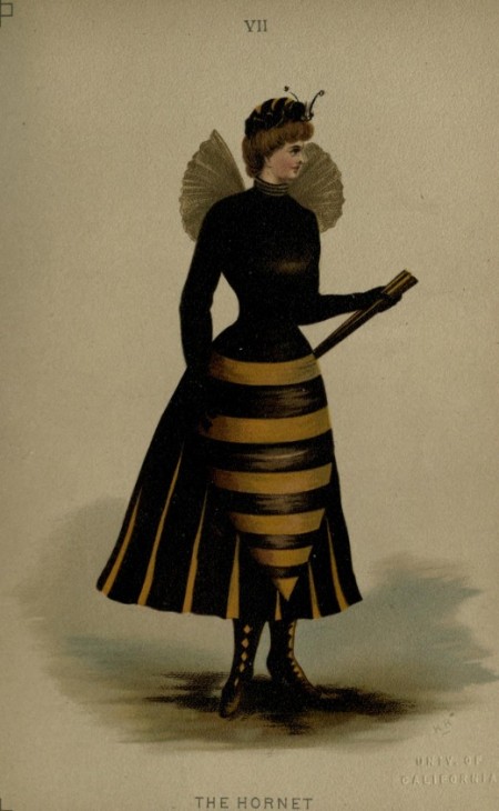 The Hornet Costume 1887 from Pick Me