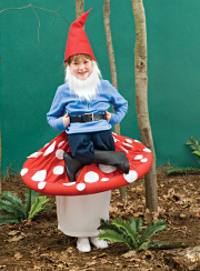 Garden Gnome Costume