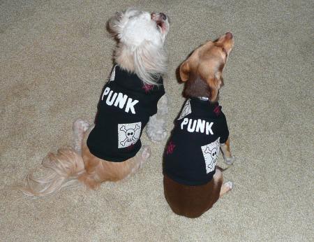 Zadi & Mini love their t-shirts!