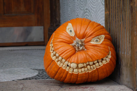 Scary Pumpkin from Curios Bird